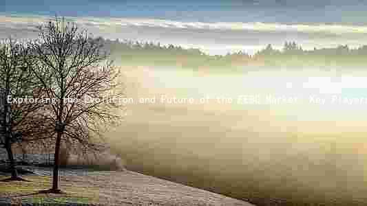 Exploring the Evolution and Future of the FEBC Market: Key Players, Trends, Risks, and Opportunities