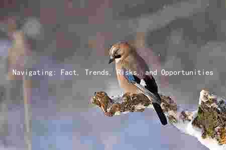 Navigating: Fact, Trends, Risks, and Opportunities