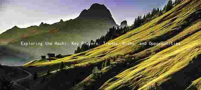 Exploring the Hachi: Key Players, Trends, Risks, and Opportunities